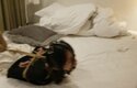 莞尔马具口球，极限驷马