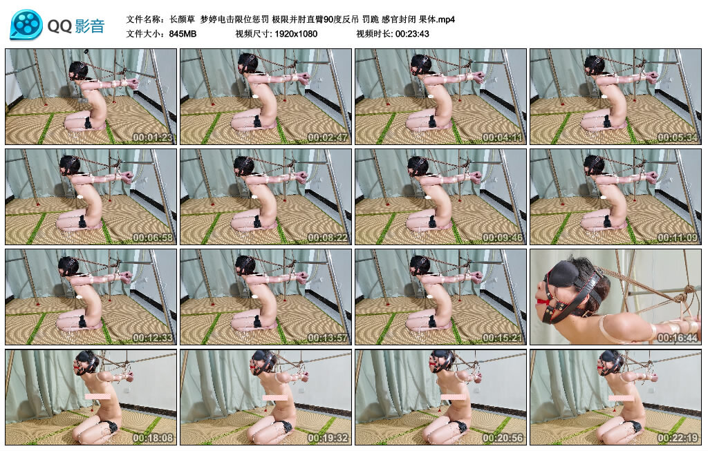 【长颜草】梦婷电击限位惩罚