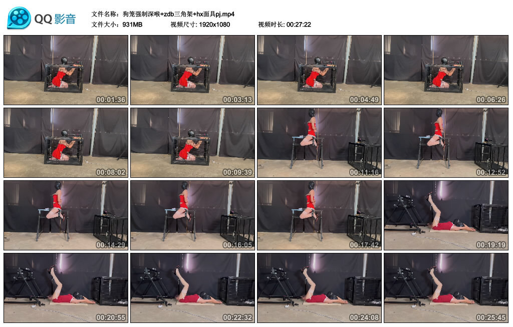 狗笼强制深喉+zdb三角架+hx面具pj