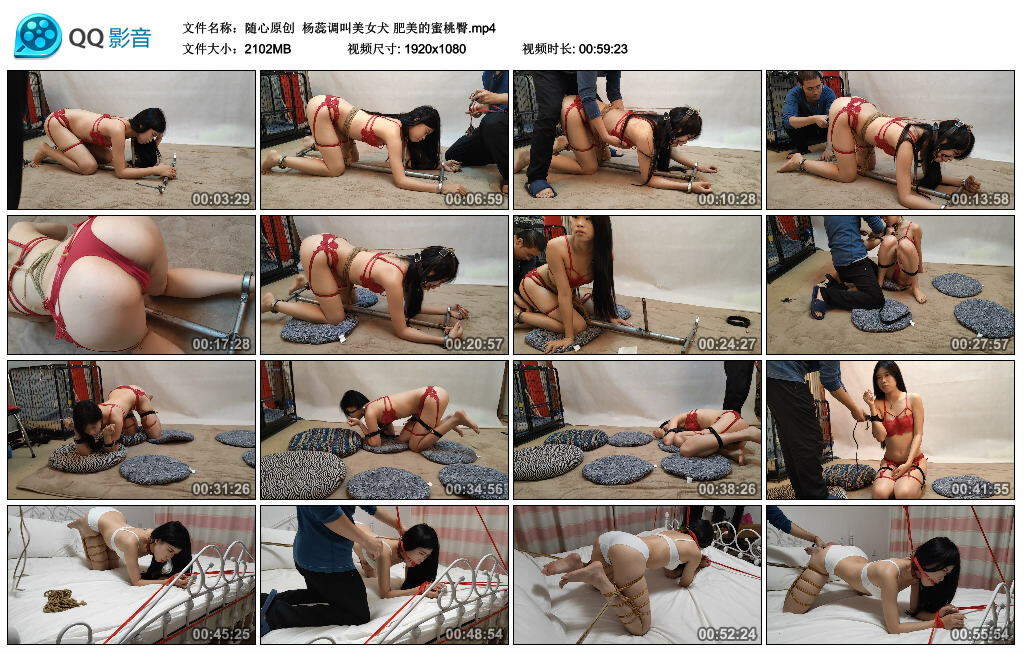 【随心原创】杨蕊调叫美女犬 肥美的蜜桃臀