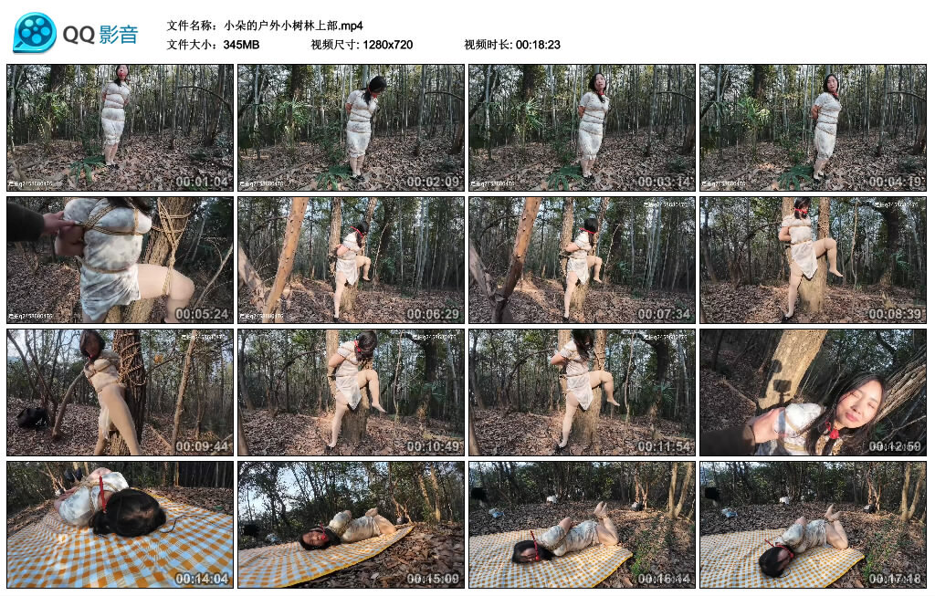 小朵的户外小树林上部