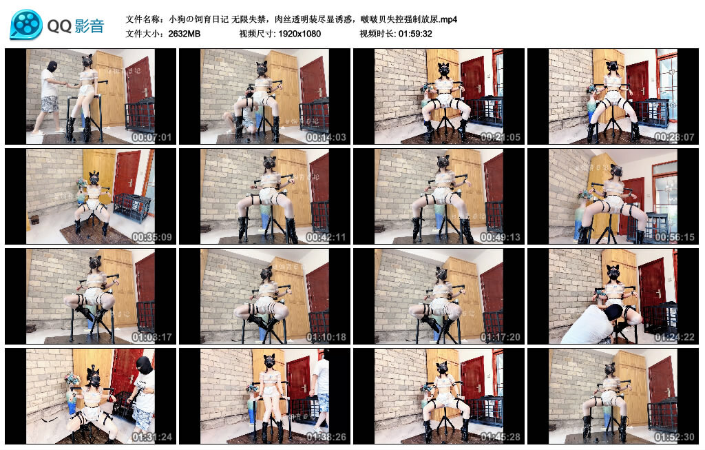 【小狗の饲育日记】无限失禁，肉丝透明装尽显诱惑，啵啵贝失控强制放尿