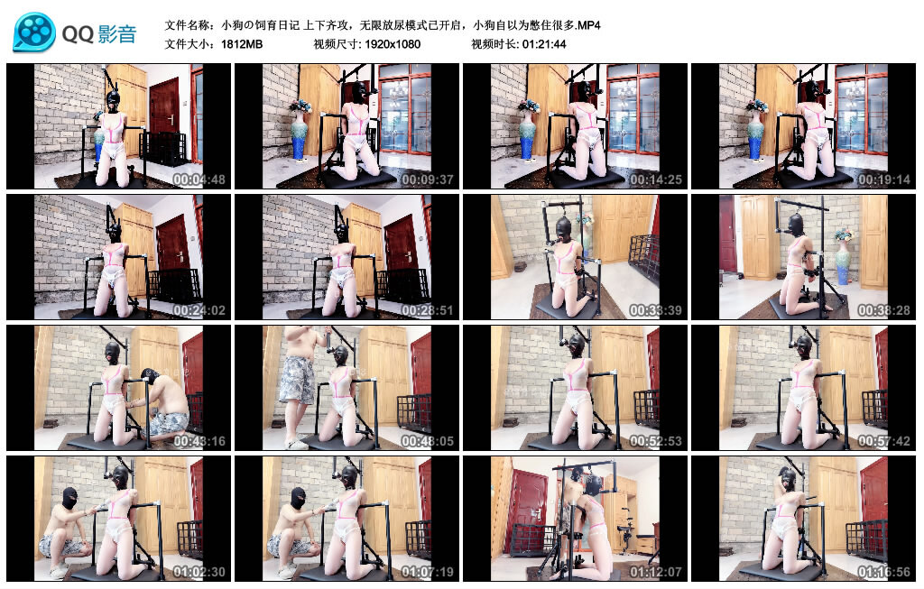 【小狗の饲育日记】上下齐攻，无限放尿模式已开启，小狗自以为憋住很多