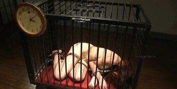 笼中的小M 拘禁体验6个小时纪实