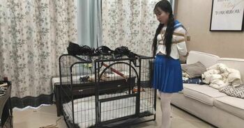 软萌小萝莉婉婉之初调教 上集 JK制服 白丝 强制贞操锁 狗笼囚禁 固定强高 单腿吊