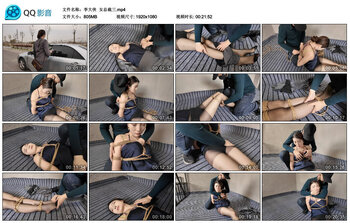 【李大侠】女总裁三