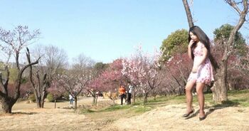 嫣儿——春色诱惑（梅花山）