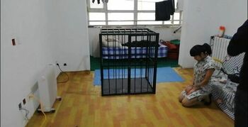 女奴菲菲特训课，真实调教过程，项圈、旗袍、肉丝高跟、手铐脚镣、骑马、钻胯