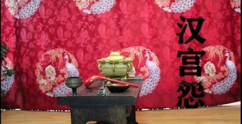 古装捆绑挣扎《汉宫怨》 堵嘴蒙嘴挣扎