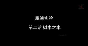 OL黑丝女郎》第二话 树木之本