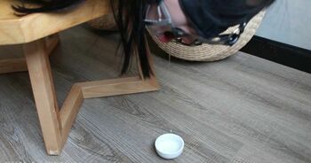 胶衣全包 机械驷马训练，以口水为钟，杯满即停 强制GC TK 来一杯吧
