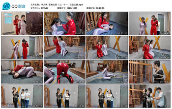 【李大侠】落难女侠（上）十一、佳佳