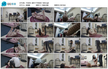 【半岛束艺】她终于不用恐高了~海语