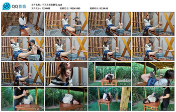 小不点极限驷马