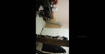 旗袍女间谍深入虎穴，结果被捆住手脚，逃跑无望遭毒