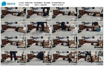 狗蛋驷马训练，疼的狗蛋嗷嗷叫，最后很精彩，真实表演请勿模仿